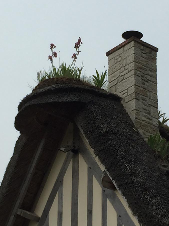 Holiday Home Le Clos Du Phare Saint-Samson-de-la-Roque Buitenkant foto